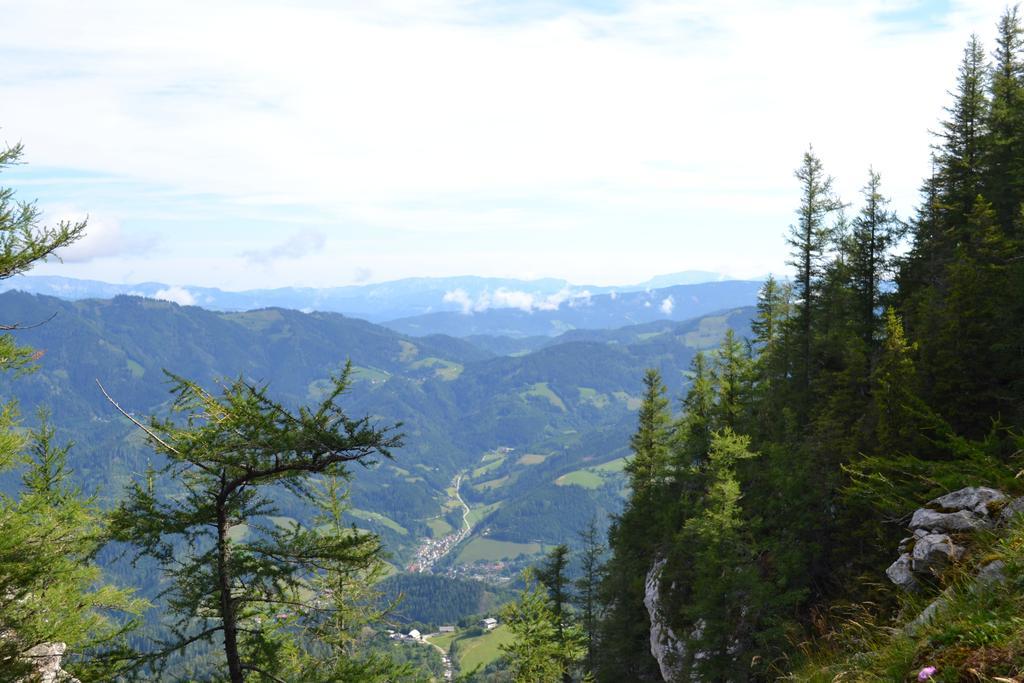 Pension Schweiger Gasen Exterior foto